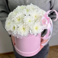 Притяжение нежности