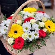 Волшебный лес