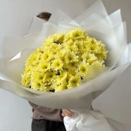 Вспышка радости Вспышка радости